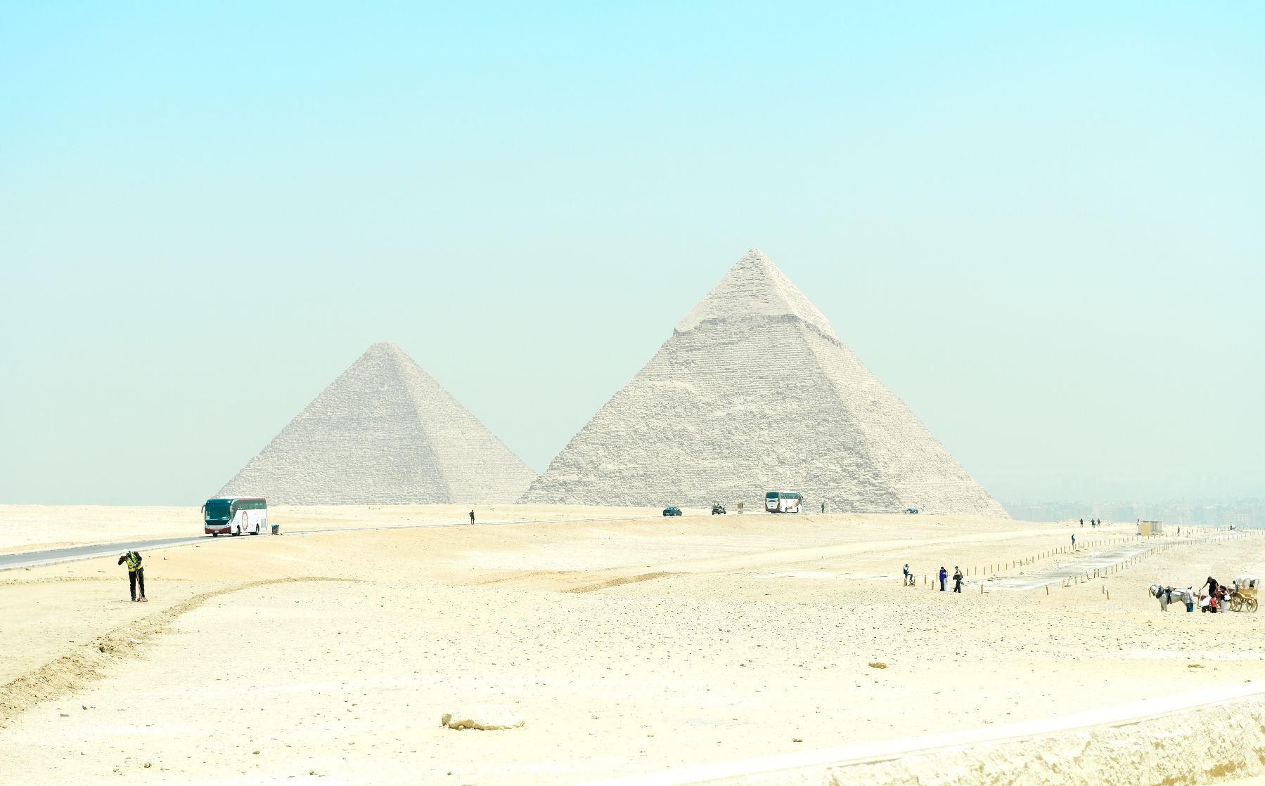 DSC4559 1 - ©copyright Marco Giardini