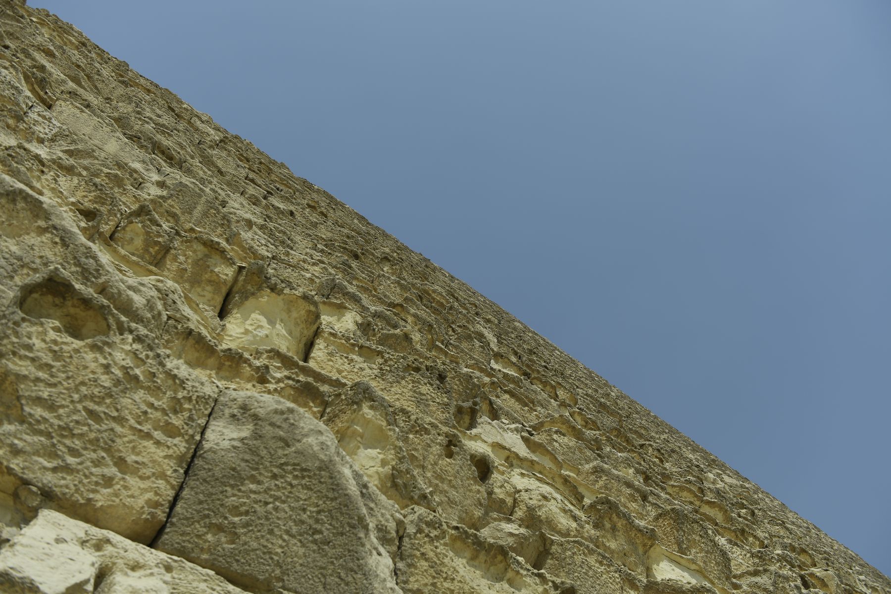 DSC4620 - ©copyright Marco Giardini