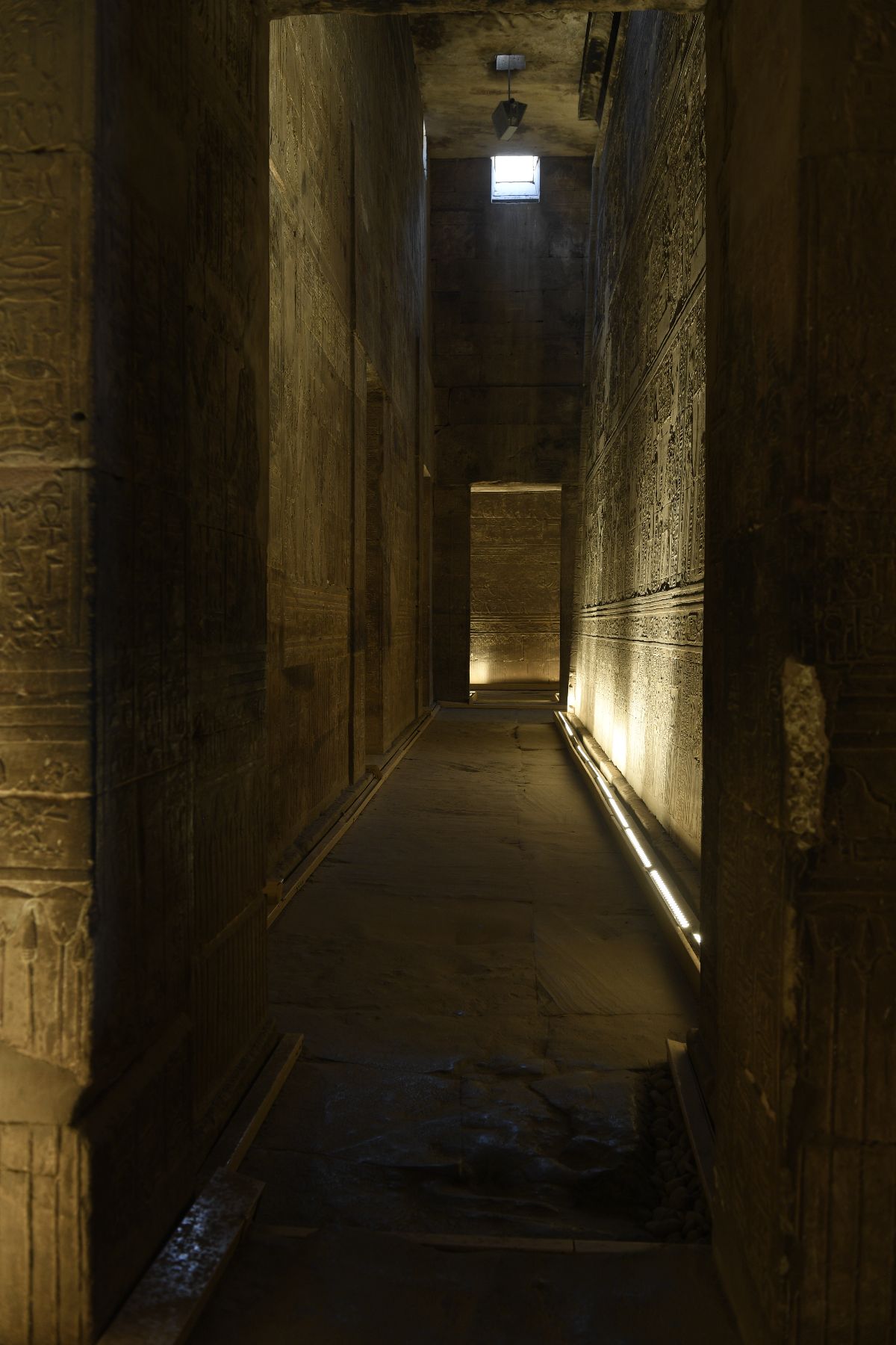 DSC4697 - ©copyright Marco Giardini