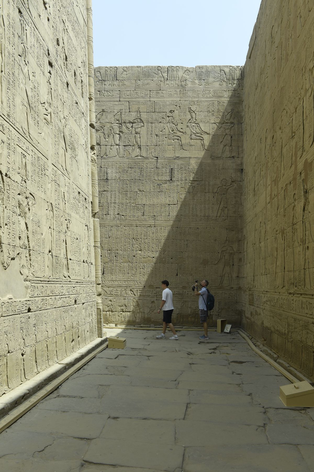 DSC4703 - ©copyright Marco Giardini