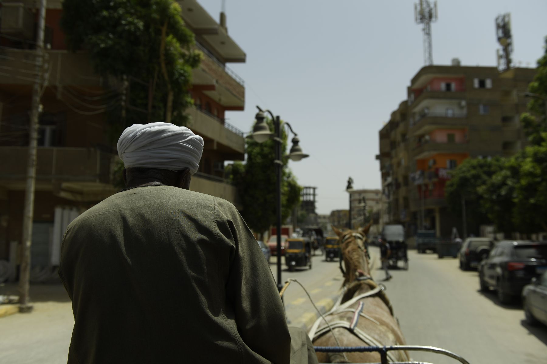 ©copyright Marco Giardini