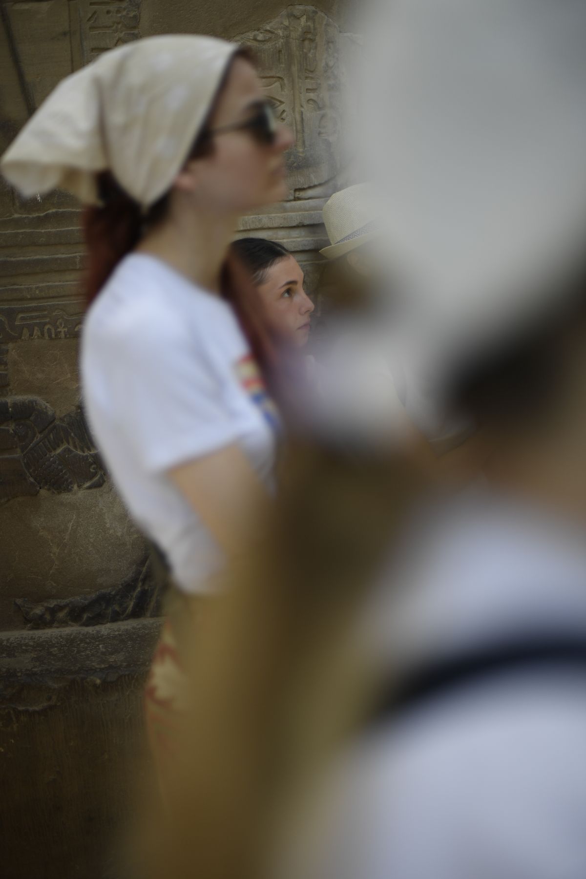 DSC4811 - ©copyright Marco Giardini