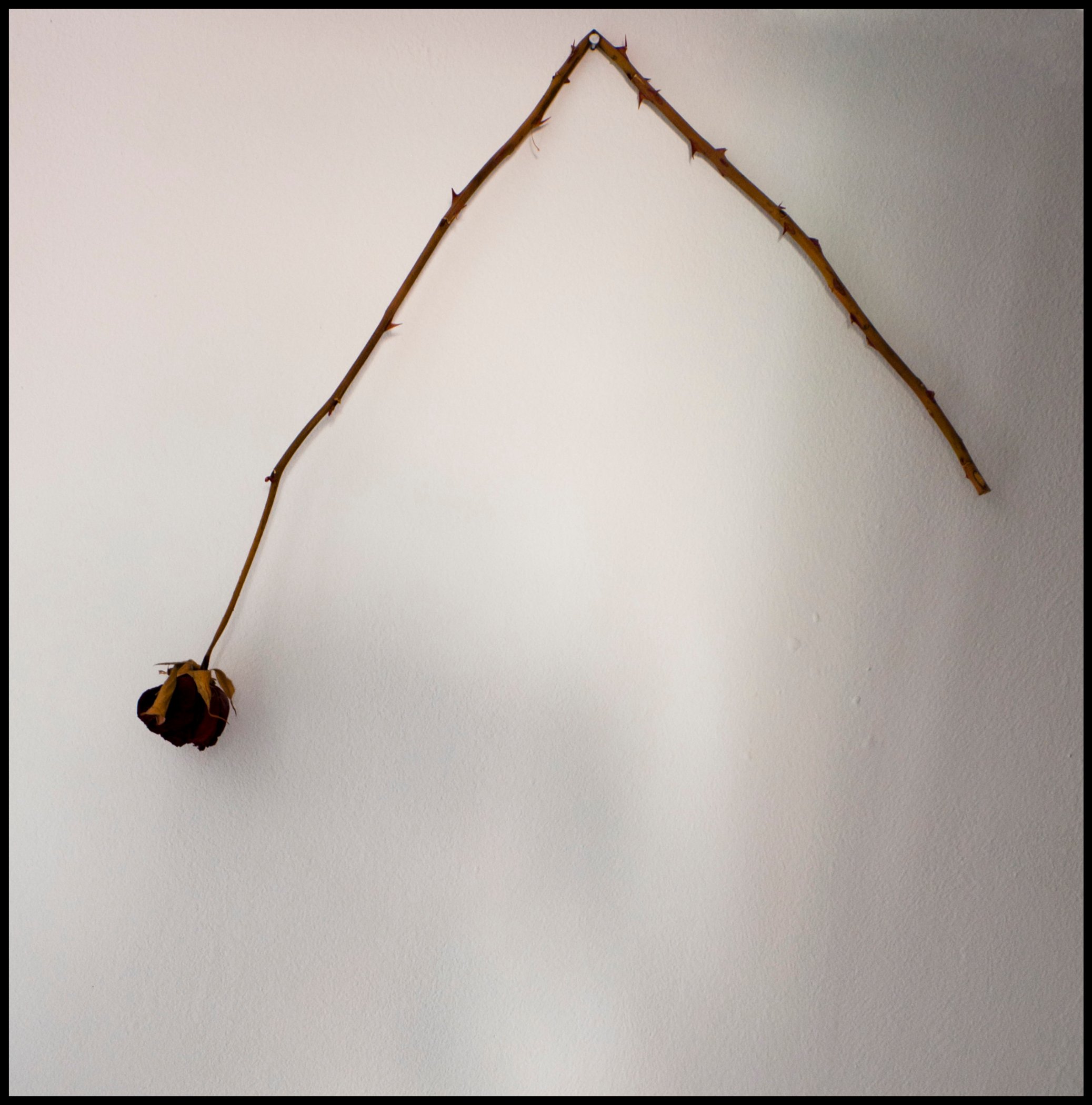 ©copyright Marco Giardini