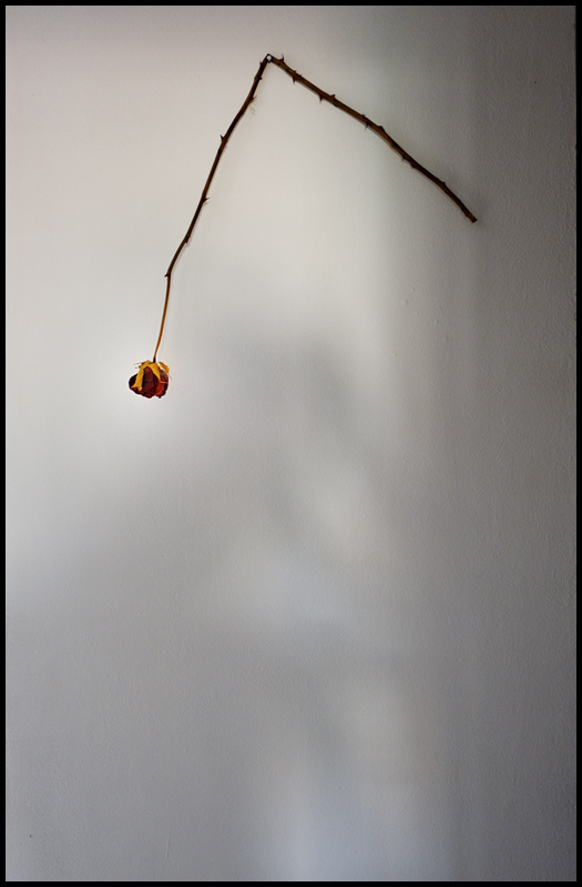 ©copyright Marco Giardini