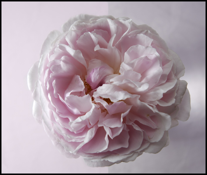 ©copyright Marco Giardini