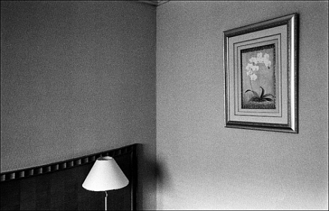 ©copyright Marco Giardini