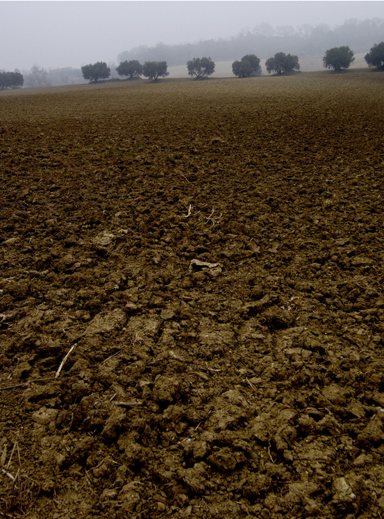 ©copyright Marco Giardini