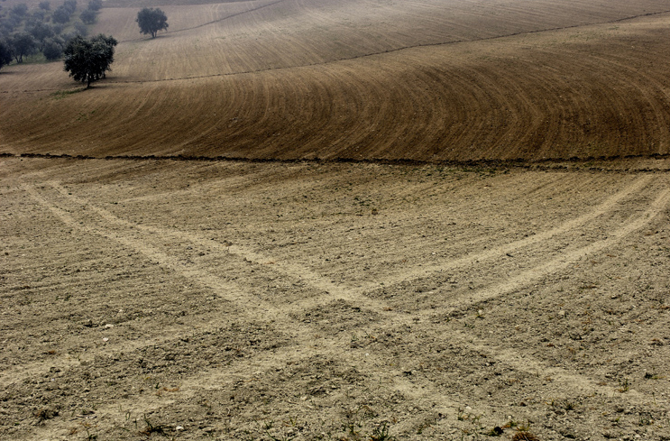 ©copyright Marco Giardini