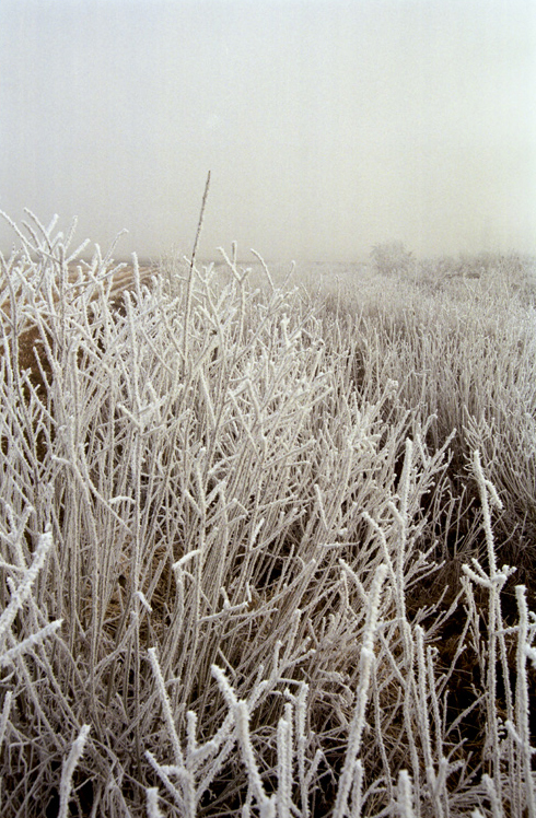 ©copyright Marco Giardini