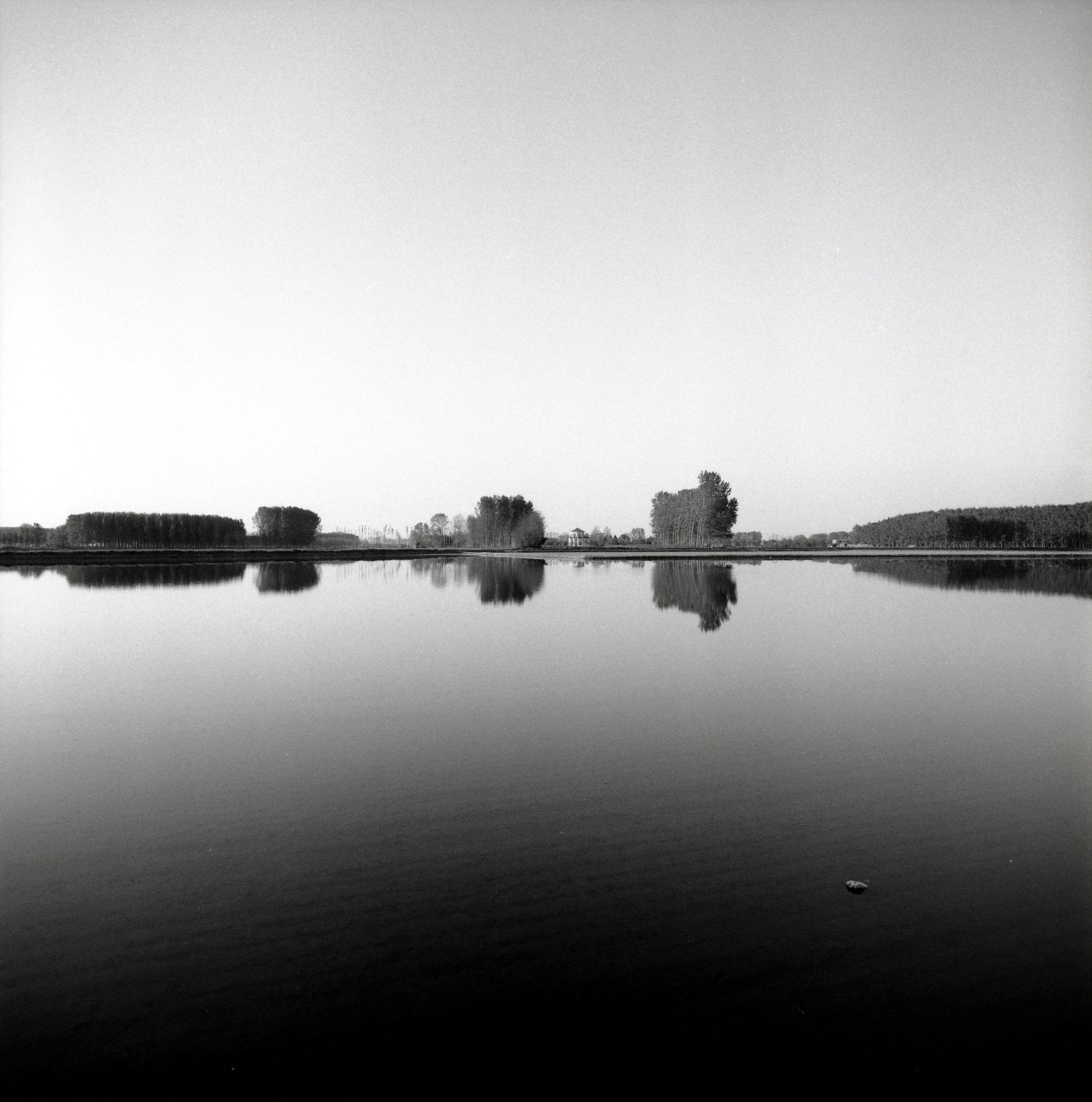 ©copyright Marco Giardini