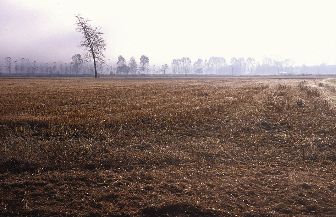 ©copyright Marco Giardini