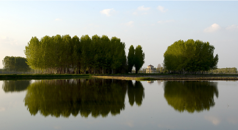 ©copyright Marco Giardini