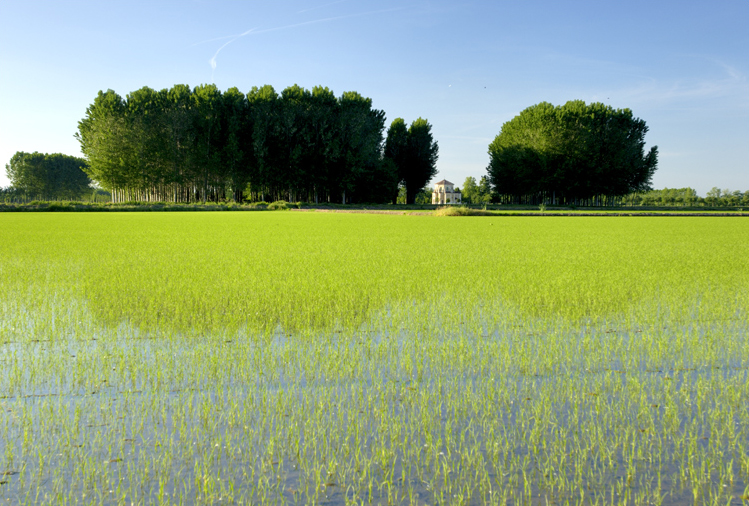 ©copyright Marco Giardini