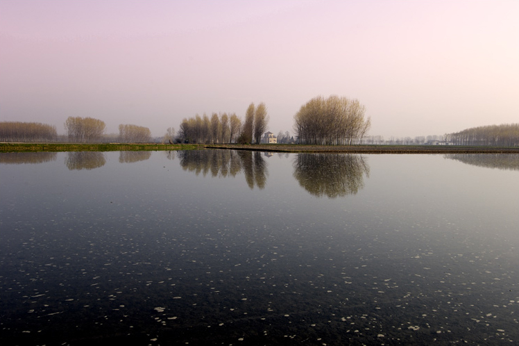 ©copyright Marco Giardini