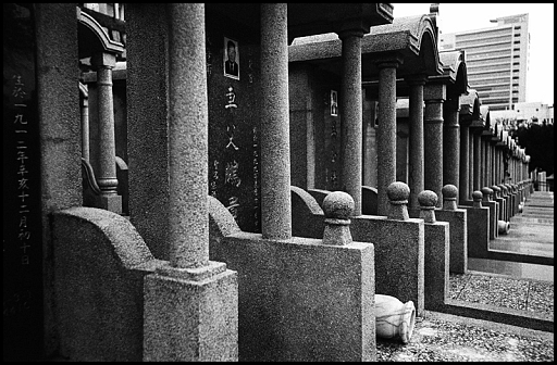 ©copyright Marco Giardini