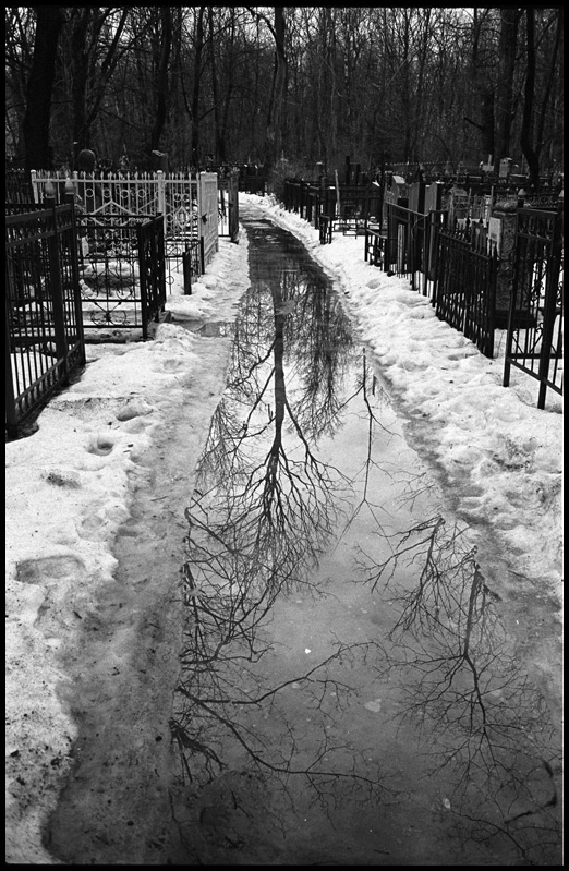 ©copyright Marco Giardini