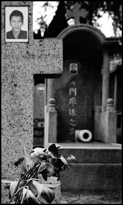 ©copyright Marco Giardini