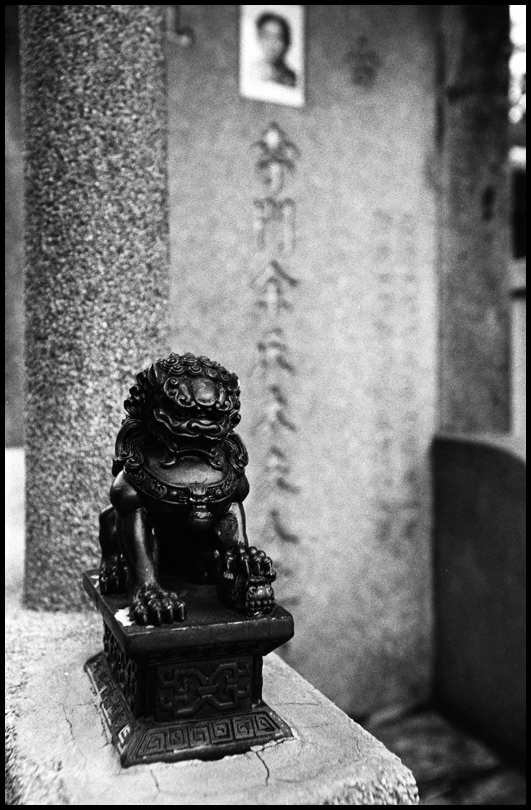 ©copyright Marco Giardini