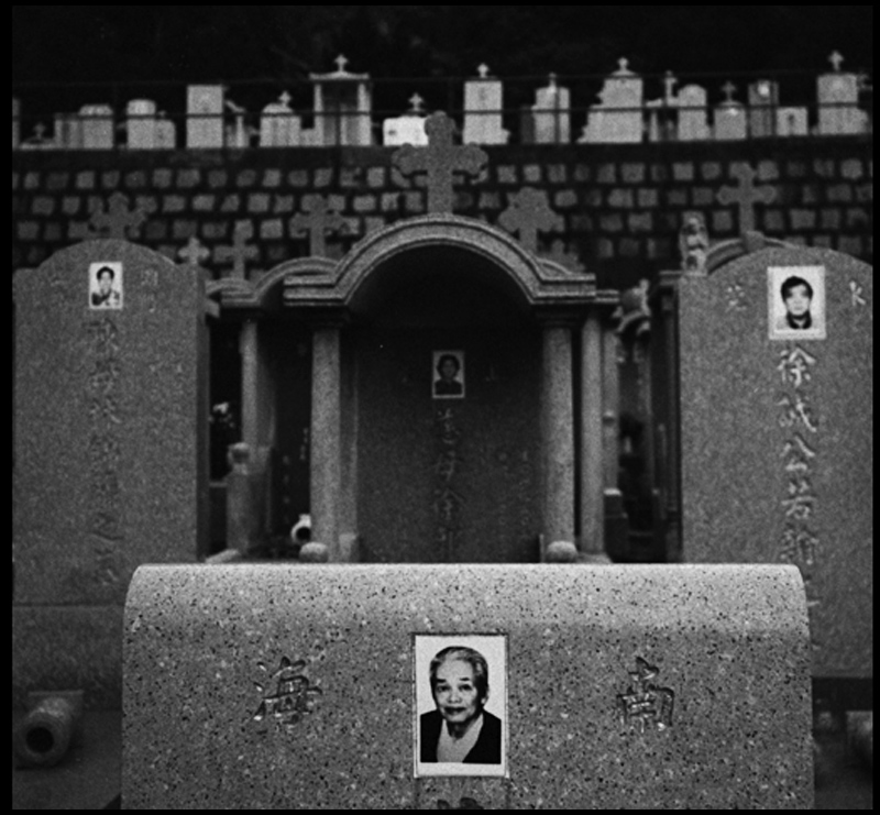 ©copyright Marco Giardini