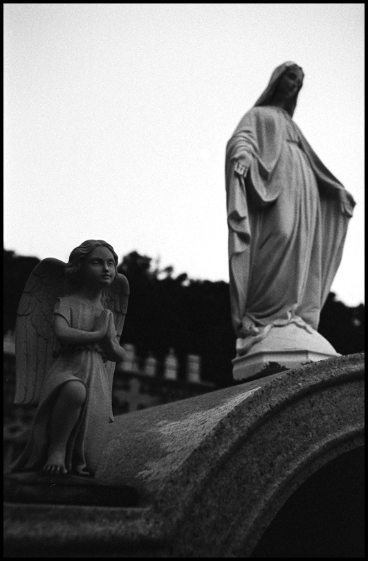 ©copyright Marco Giardini