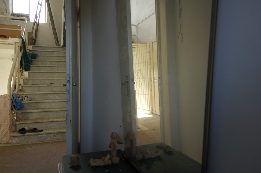 ©copyright Marco Giardini