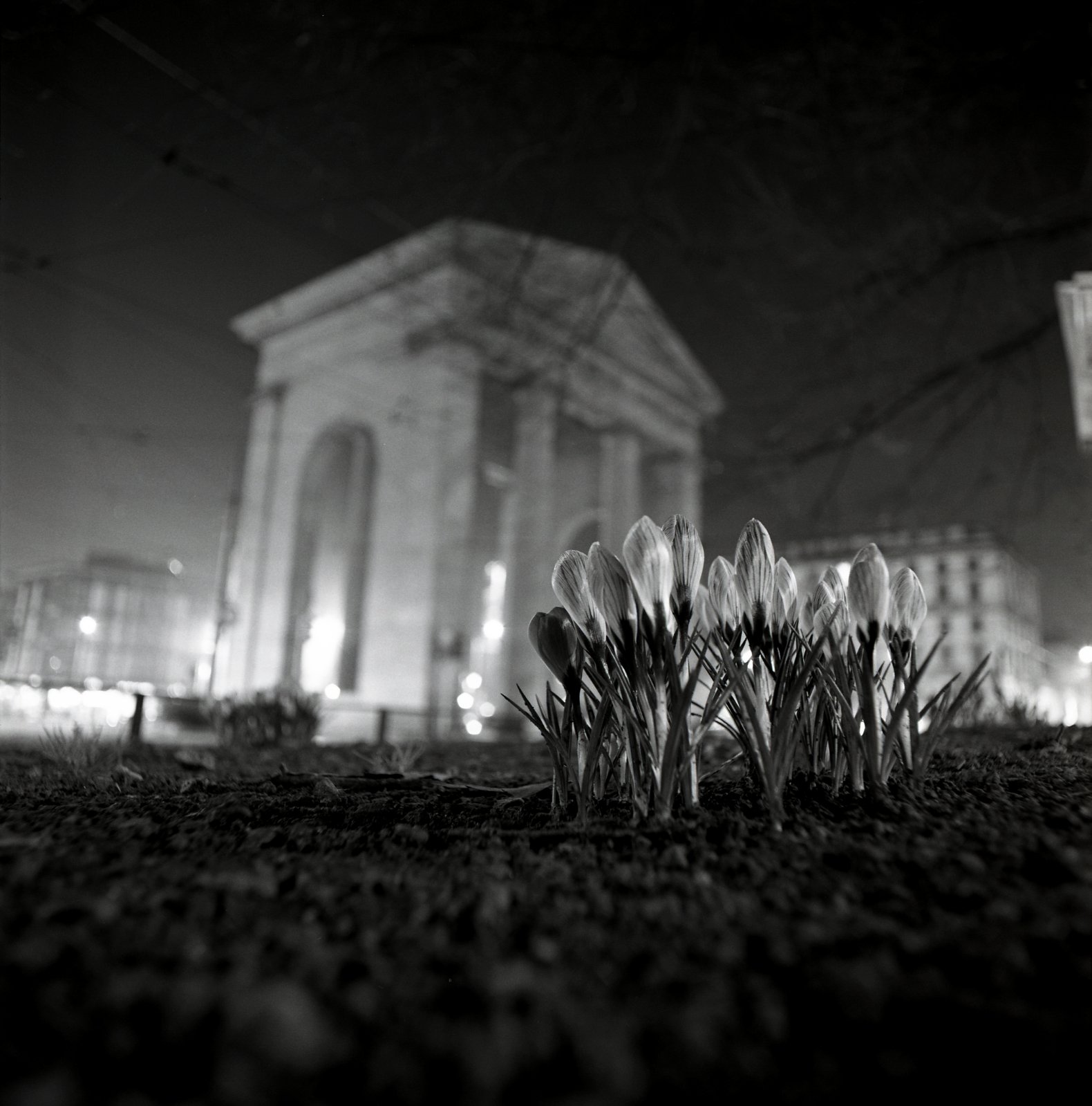 ©copyright Marco Giardini